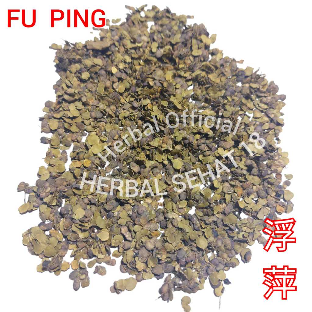 

50 gram Fu Ping Duckweed 浮萍 Fuping