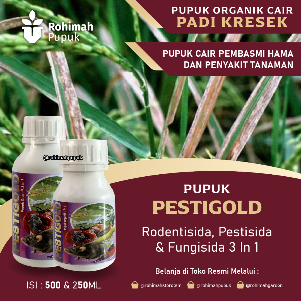 Pupuk PESTIGOLD Obat Padi Daun Kresek Hama Merah Pada Tanaman Padi Paling Ampuh - Obat Semprot Menga