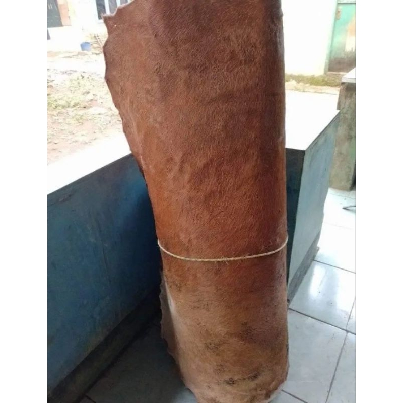 kulit sapi kering diameter 50cm