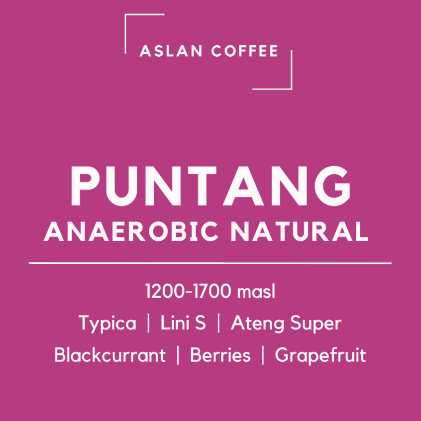 

Biji Kopi Arabica Puntang Anaerobic Natural - Aslan Coffee