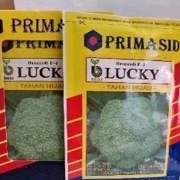 Benih Brokoli Bejo Lucky