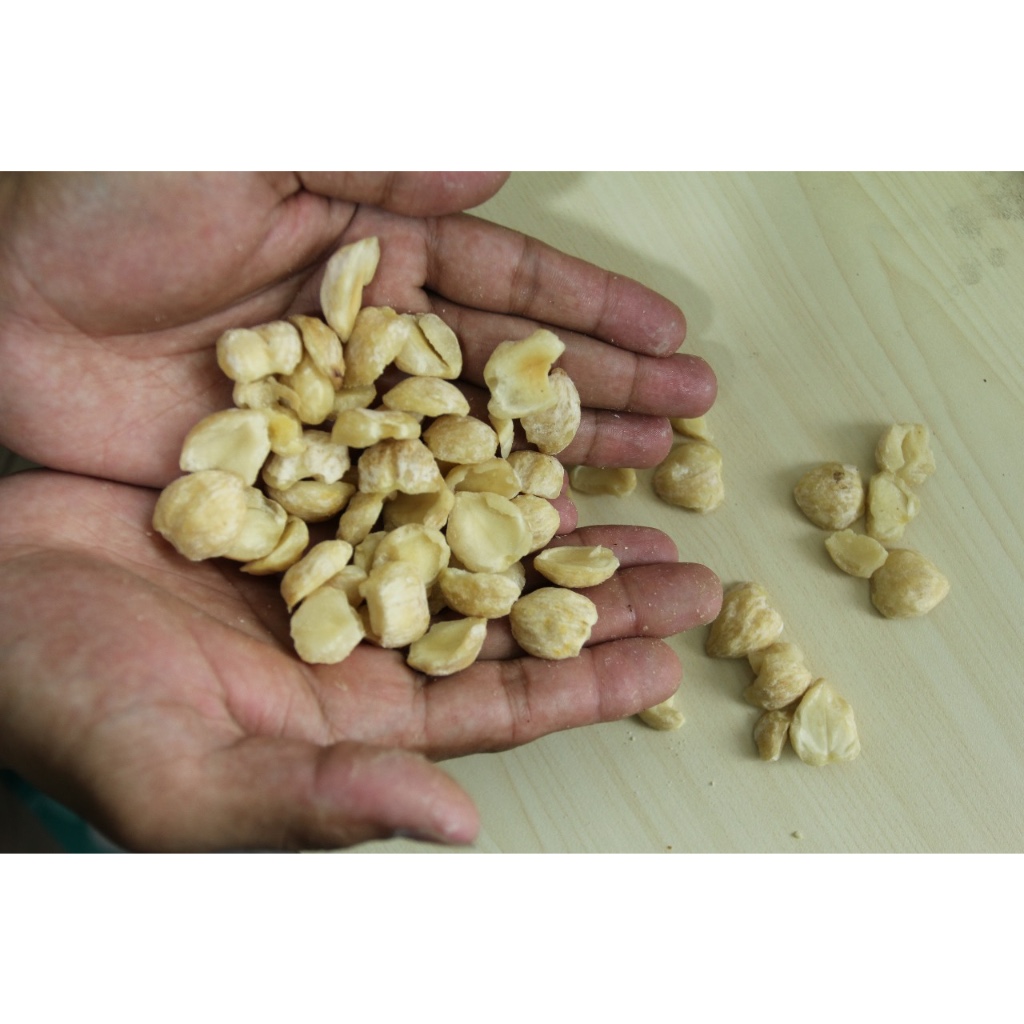 

KEMIRI 100 GRAM / BUMBU DAPUR / BUMBU / DAPUR / MINYAK KEMIRI / MINYAK KEMIRI BAKAR /