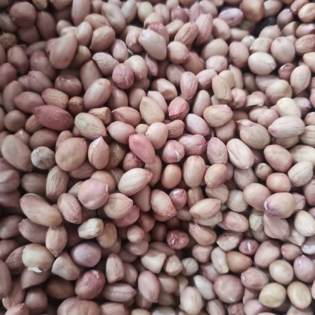 

Kacang Tanah Tuban 500 gr 8 mm