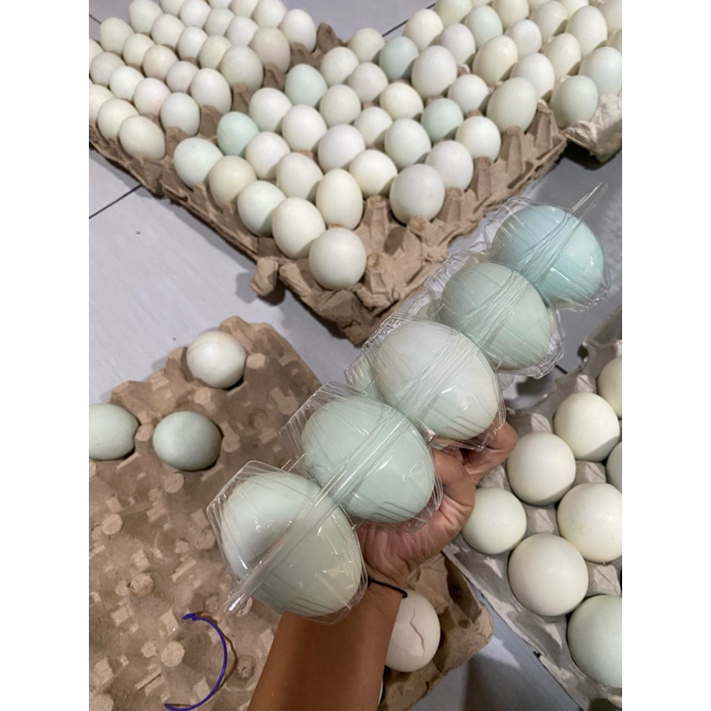 Mika Telur khusus telur bebek (besar) harga isi 25pcs mika