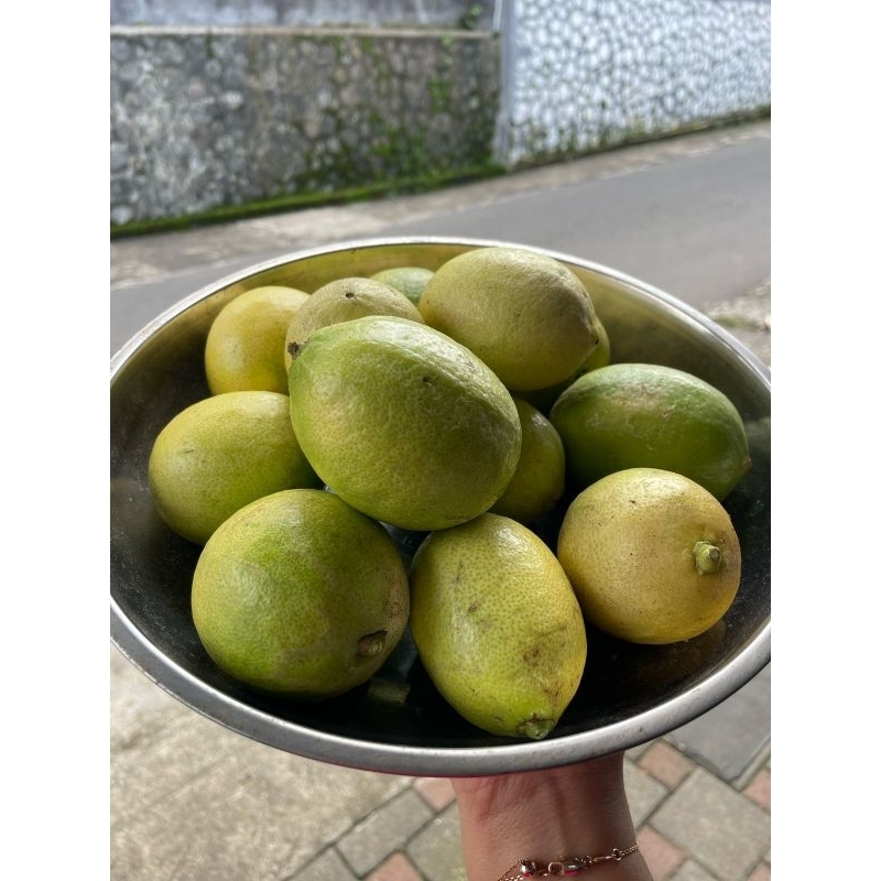 

Buah jeruk lemon sigles/lokal fresh