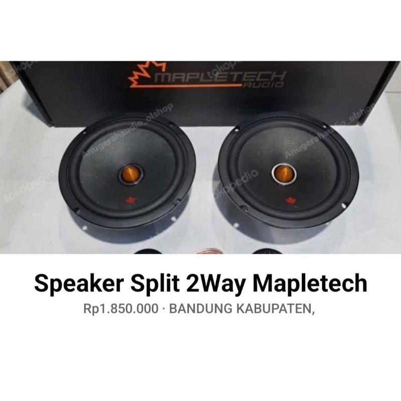 Speaker Two Way Mapletech