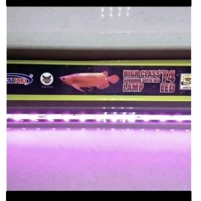 lampu sakkai pro SR5000/SR6000/SR8000/SR10000