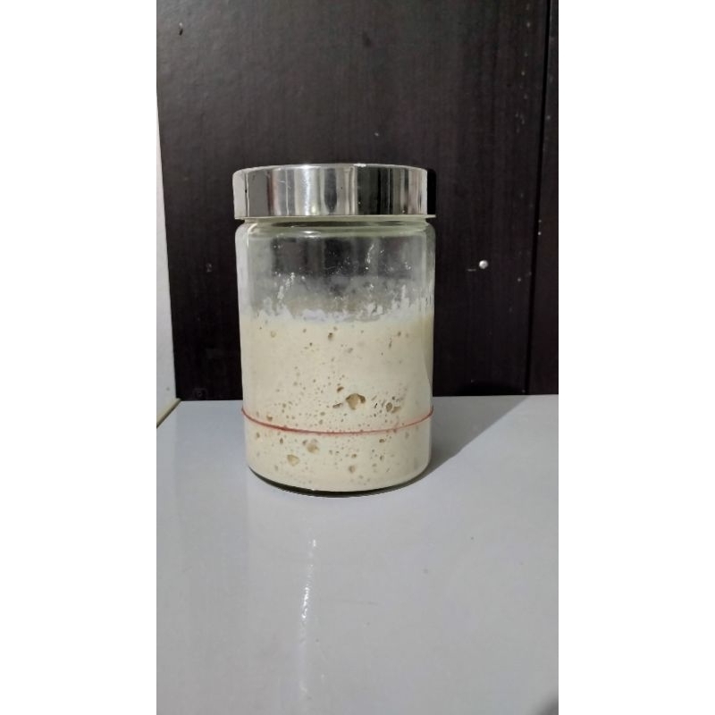 

Ragi Alami -Sourdough Starter
