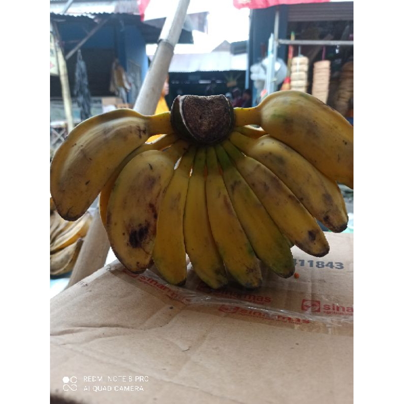 

PISANG KEPOK