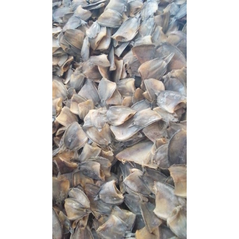 

ikan asin bulan 1 kg