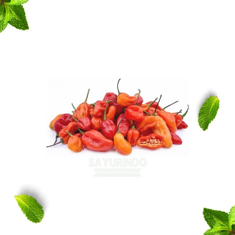 

Cabe Rawit Merah 250gram