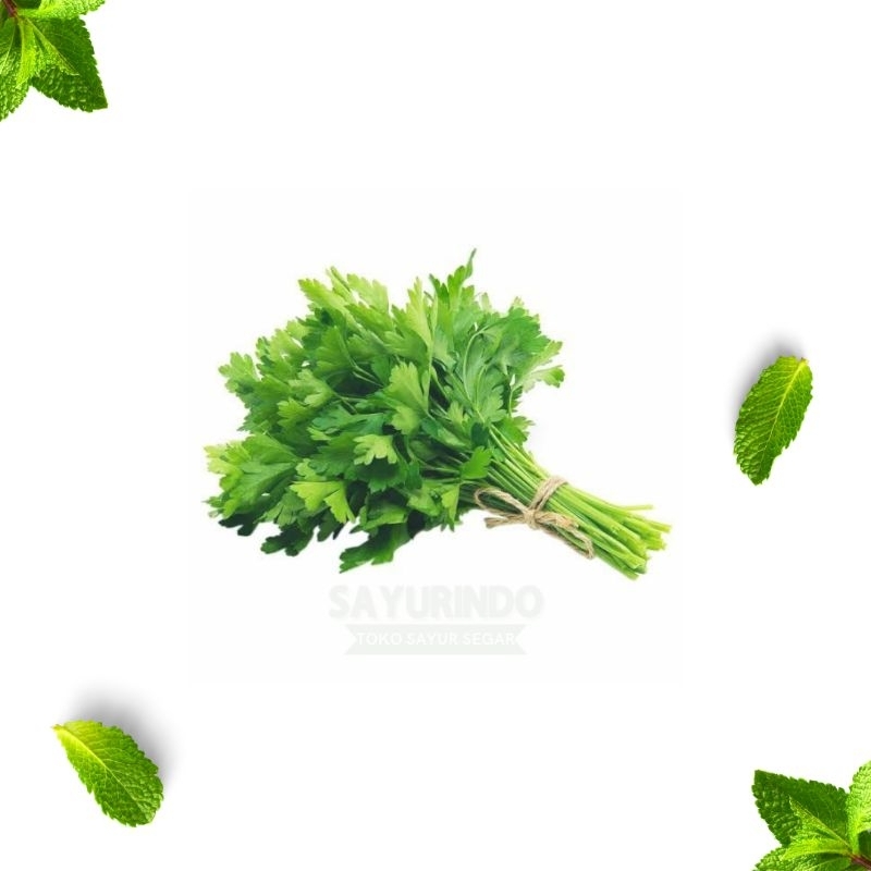 

Daun Seledri Segar 50-100gram