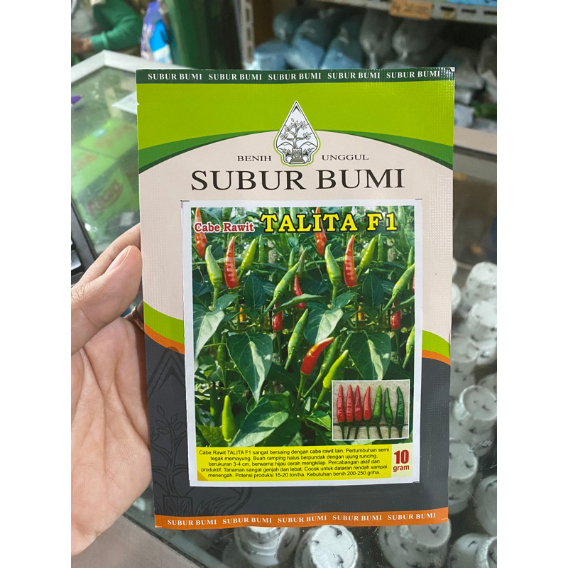 Bibit cabe rawit Thalita F1