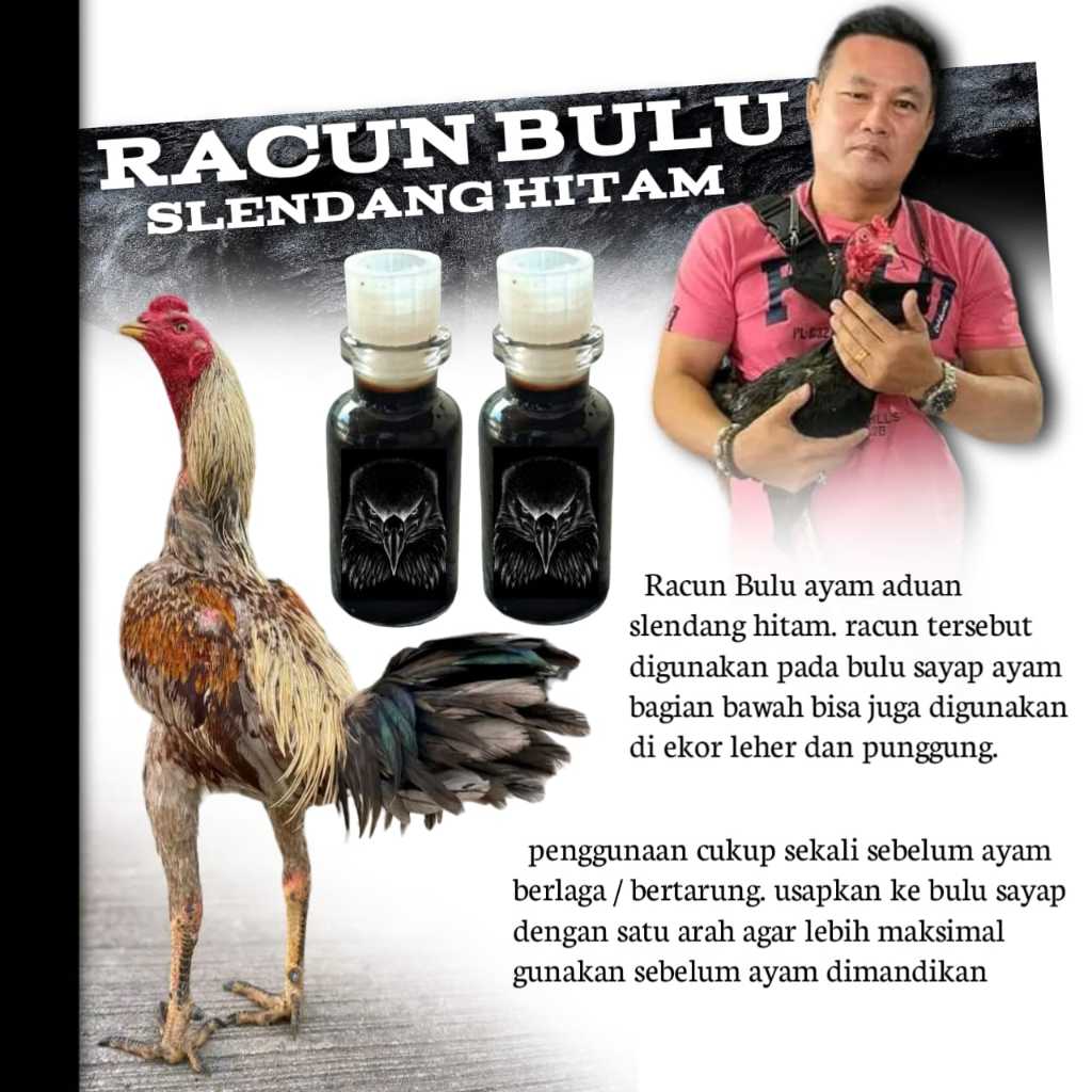 racun bulu ayam bangkok selendang hitam jago mangon