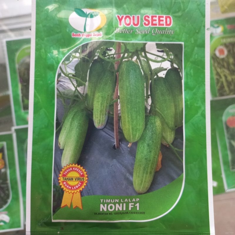 YOU SEED - MENTIMUN HIBRIDA NONI F1
