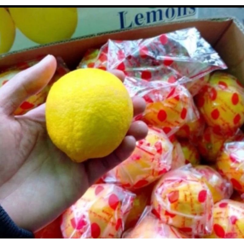 

jeruk lemon | lemon impor | jeruk lemon California| lemon California | lemon California bandung
