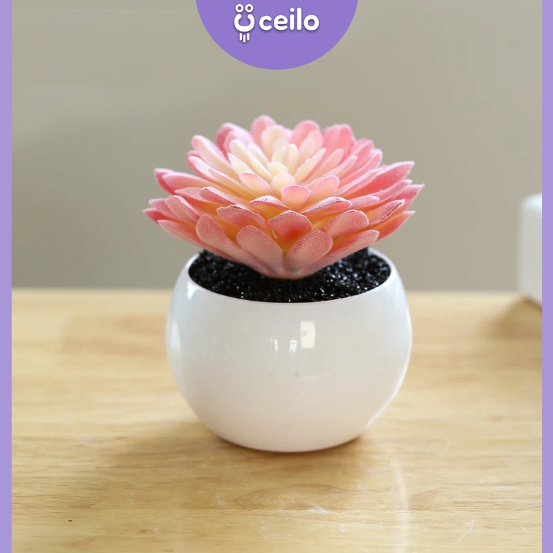 CEILO Kaktus Sukulen Plastik Imitasi | Succulent Artificial | Tanaman Kaktus Palsu | Sukulen Plastik