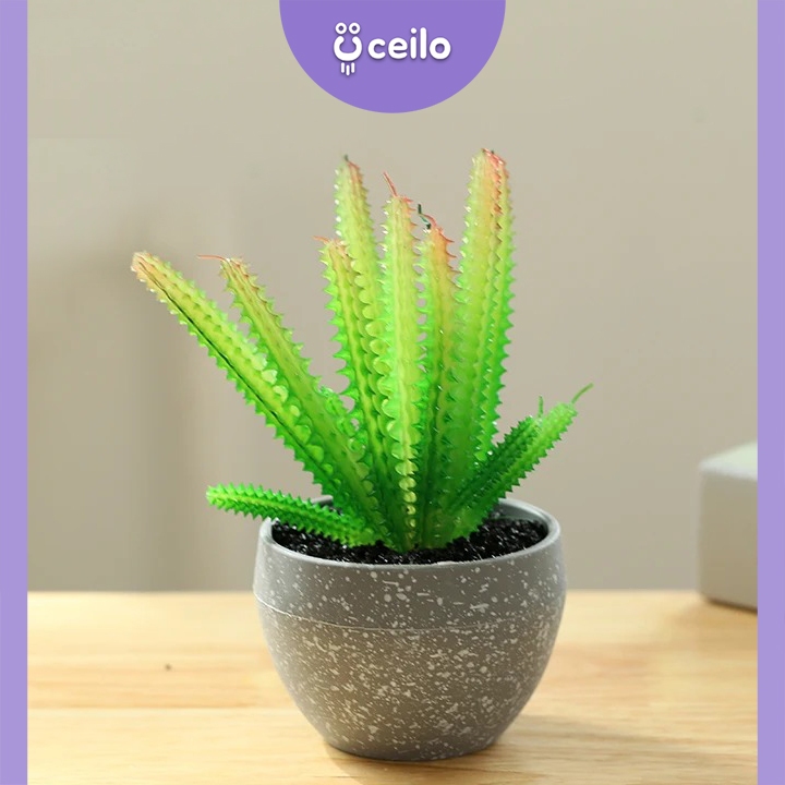 CEILO Kaktus Sukulen Plastik Imitasi | Succulent Artificial | Tanaman Kaktus Palsu | Sukulen Plastik