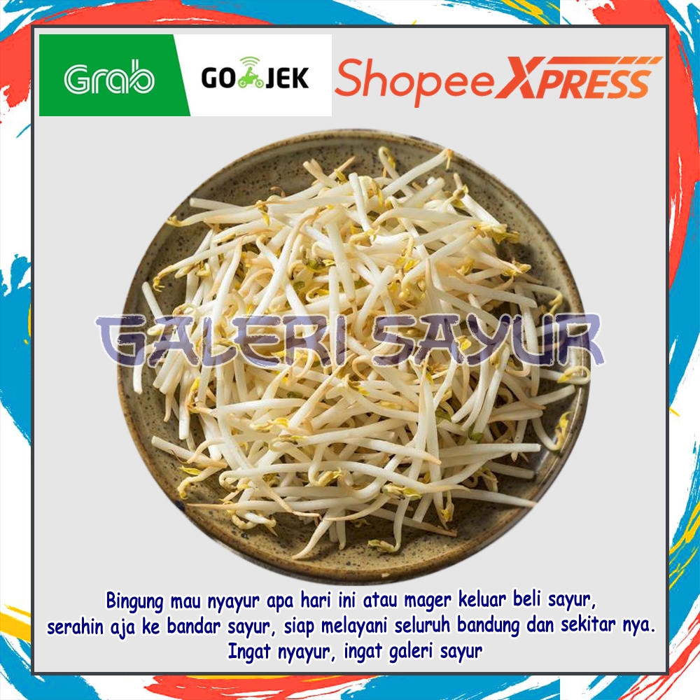 

KIRIM INSTAN Toge / Tauge Segar Fresh
