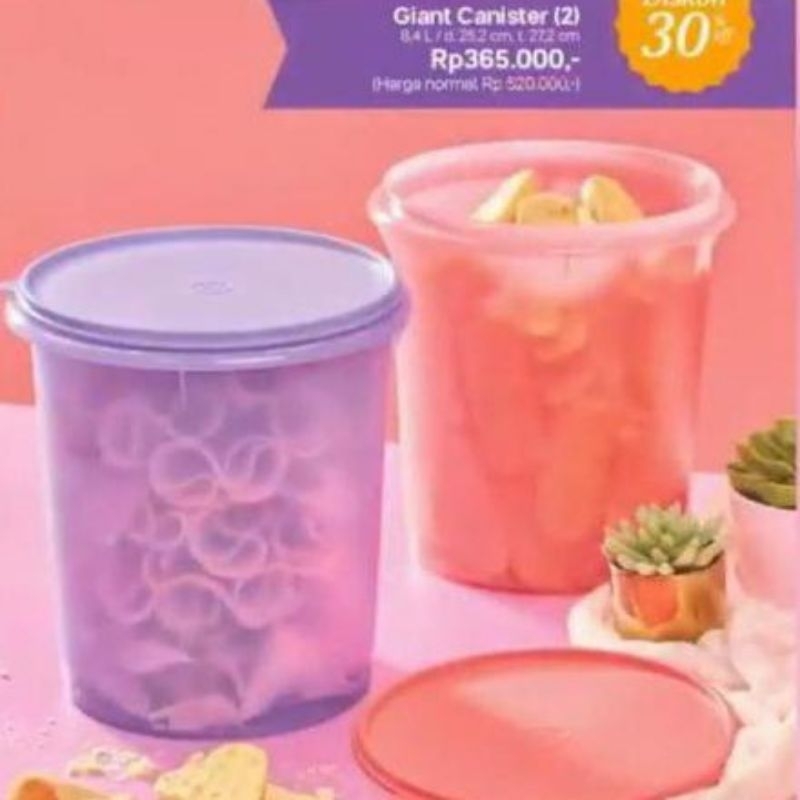 Tupperware Original Promo Giant Canister 8,4 liter Toples Besar penyimpanan kerupuk dan kue Toples B