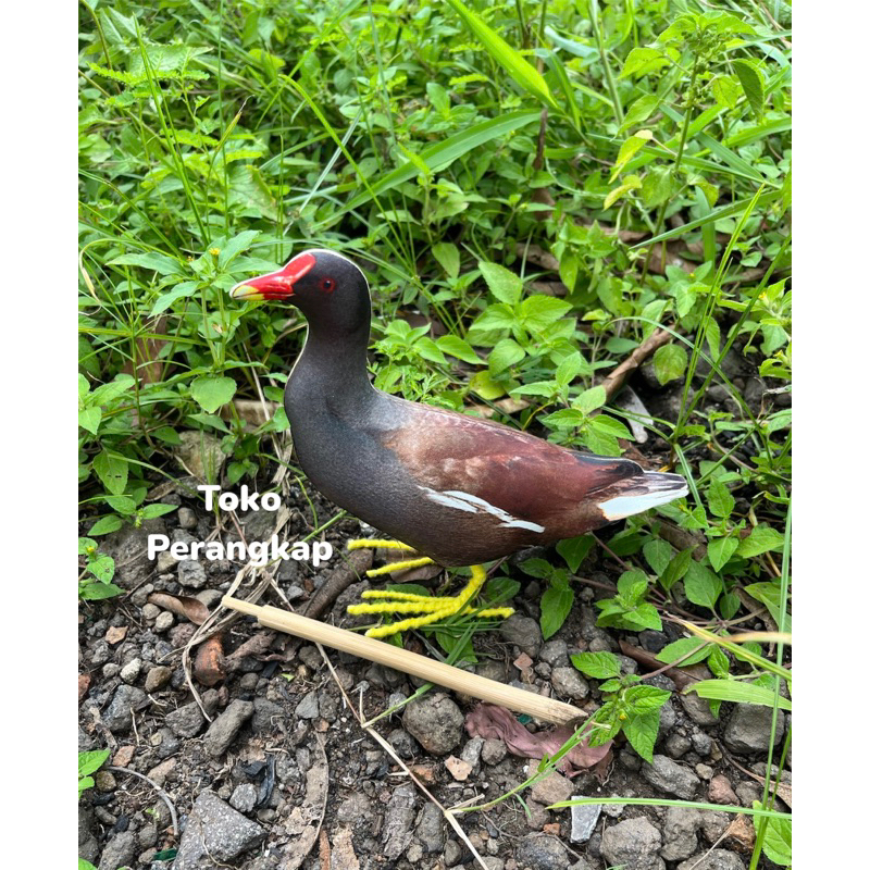Patung Burung Mandar / Mandar batu / Mandar Besar