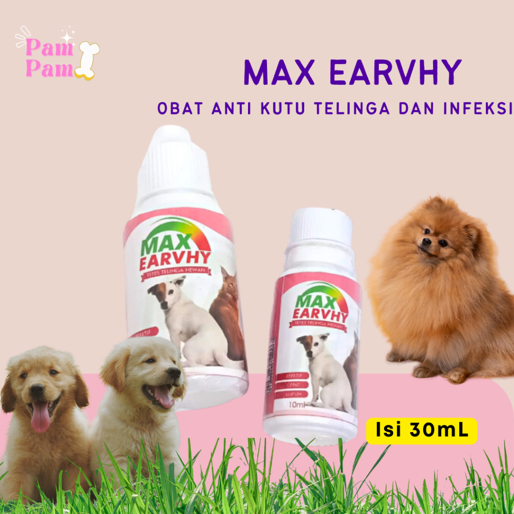 Obat Kutu Telinga Max Earvhy Obat Tetes Telinga Kotor Hewan Obat Tetes Kuping Kucing Max Earvhy