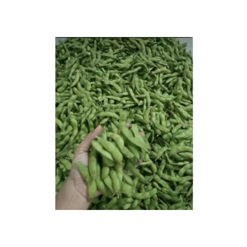 

Edamame Segar 500gr