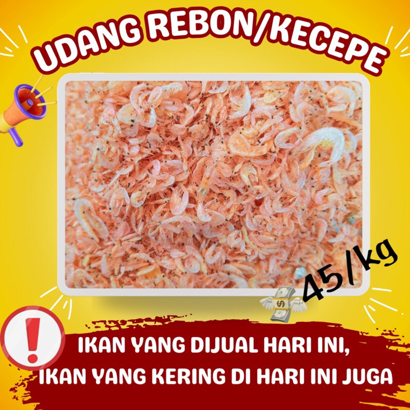 

Udang Rebon/Kecepe