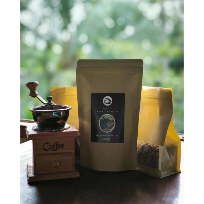 

Kopi Luwak Liar // Original BANYUWANGI 100% // (Bisa Bayar di Tempat)