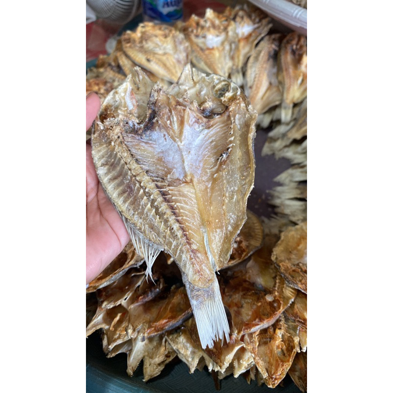 

Ikan Kering Asin Masa kuda
