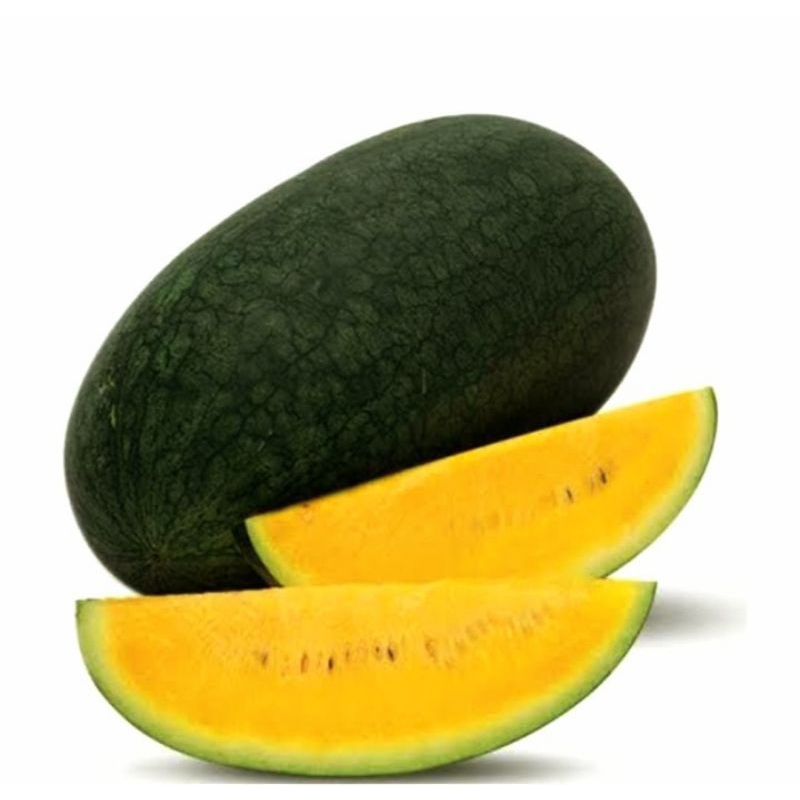 10 Benih biji semangka daging kuning lonjong hibrida F1 kulit gelap