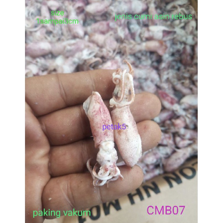 

SCP769 TERBARU Cumi asin beby 1kg cumi asin babycumi asin rebuscumi asin kecil