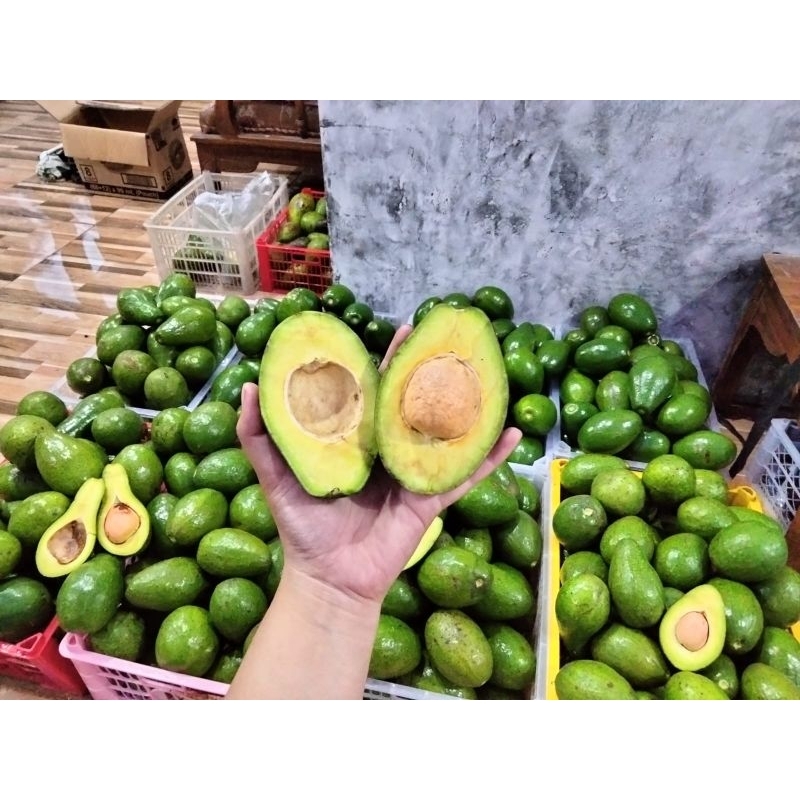 

Alpukat mentega isi 4