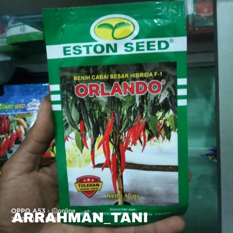 Benih bibit Cabe Hibrida ORLANDO F1 10 gram original