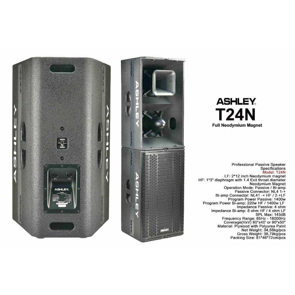 speaker pasif ashley T24N T 24N T 24 N 2x12 neodymium magnet Original