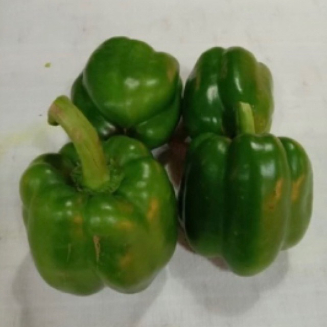 

paprika Ijo 500 gram RP.30.000