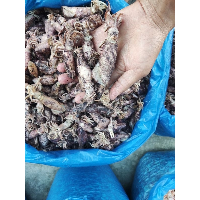 

Cumi / Sotong Kasar Asin