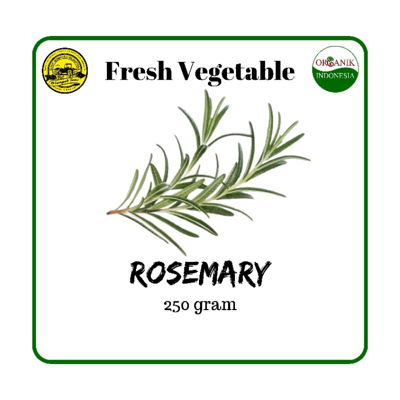 

Daun Rosemary Organik Segar 250gram
