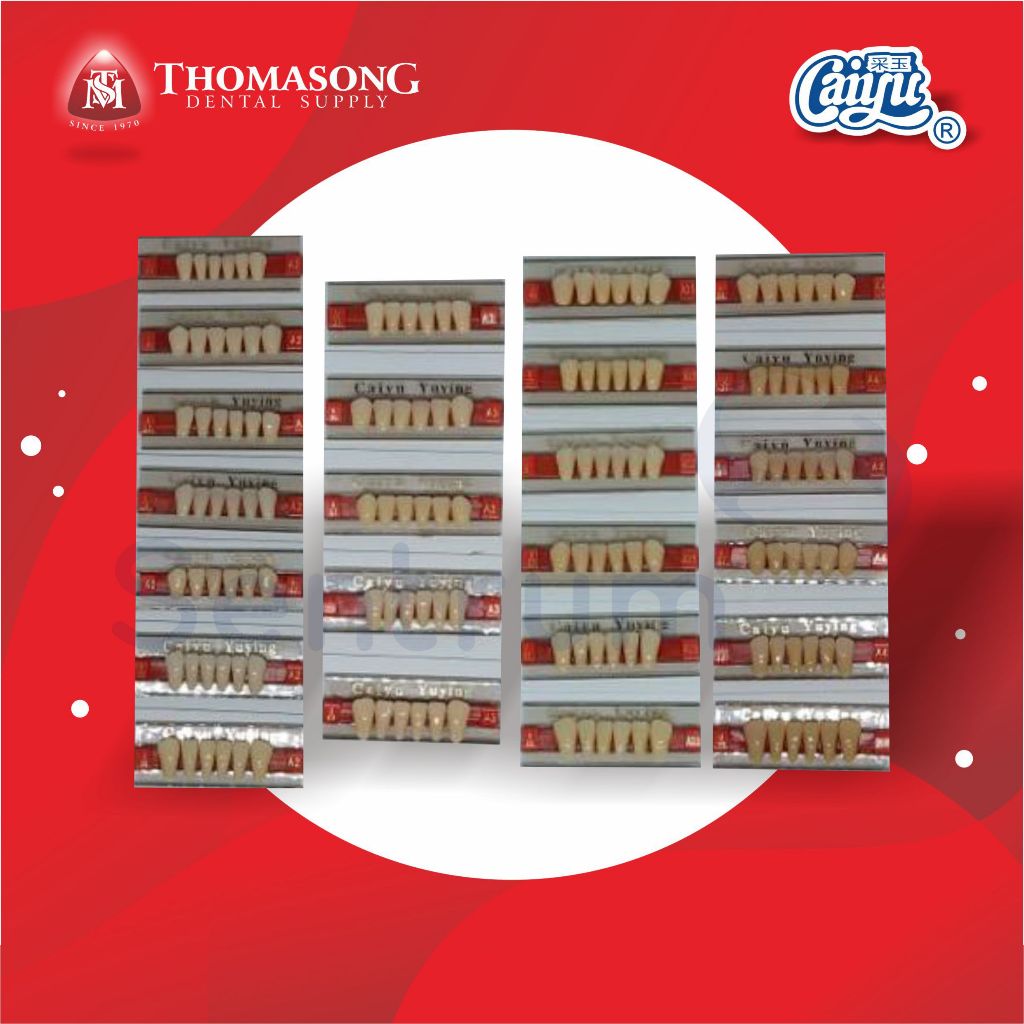 Gigi Palsu CAIYU ANTERIOR BAWAH