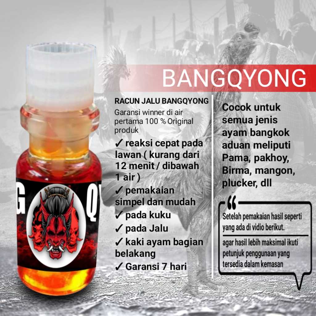 racun jalu ayam bangkok asli pakhoy doping jago mangon