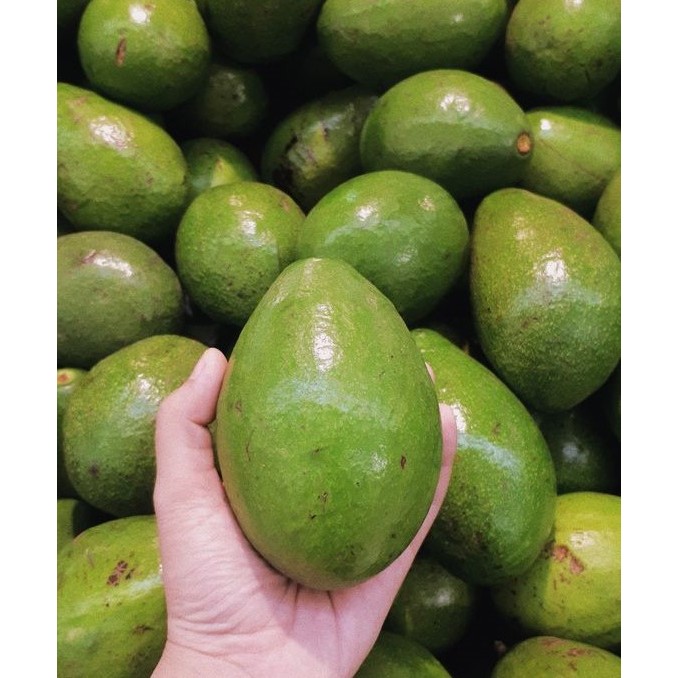 

Alpukat Segar 1Kg