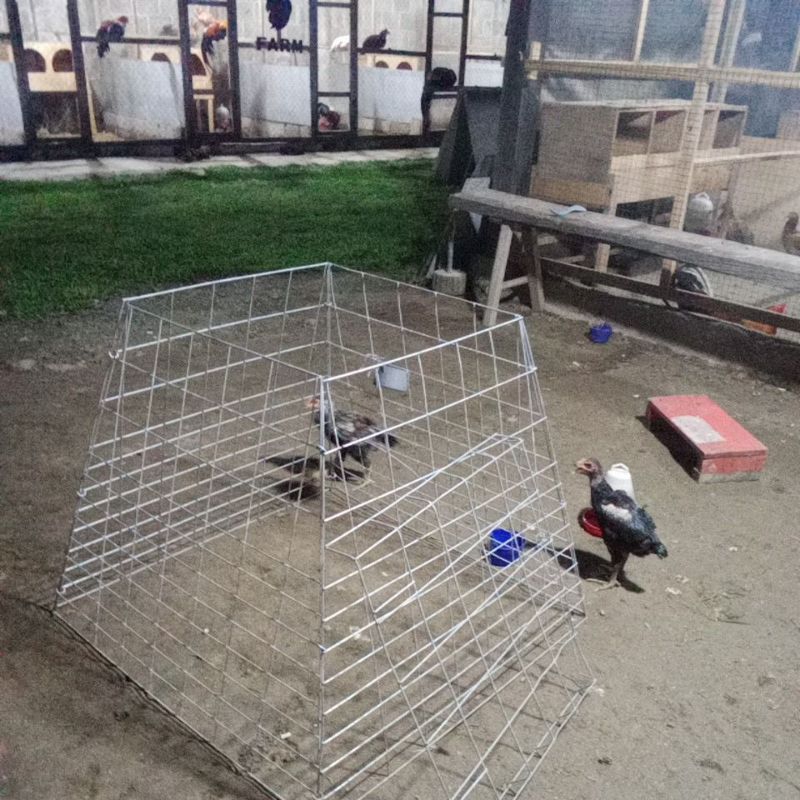 kandang ayam lipat besi