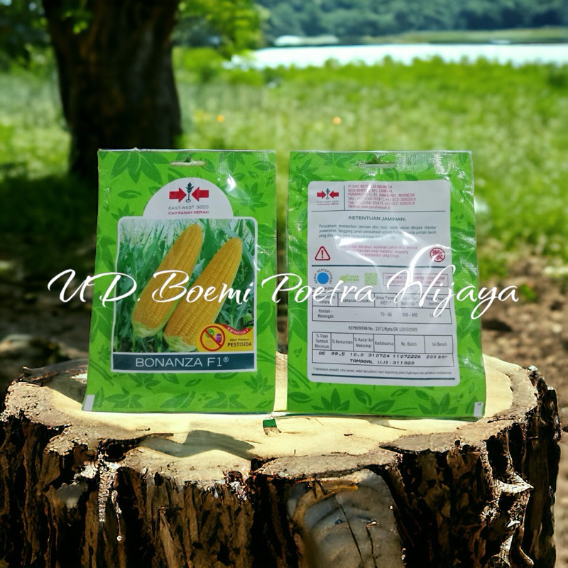 BENIH JAGUNG BONANZA F1 HIBRIDA