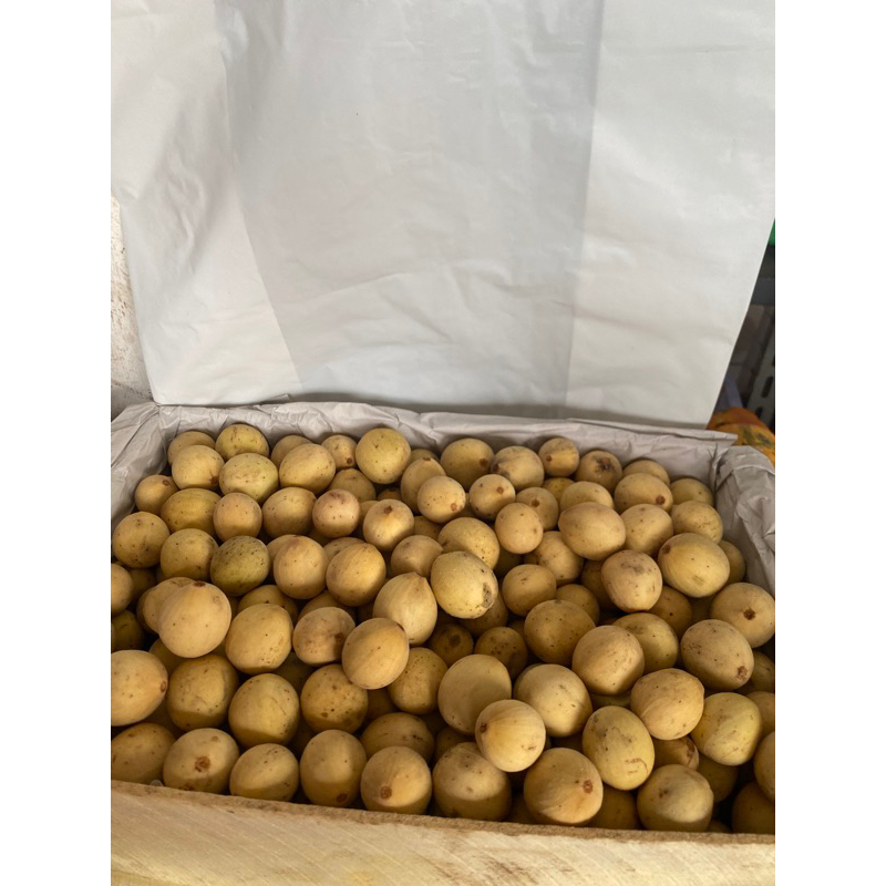 

BUAH DUKU PALEMBANG MANIS 1KG