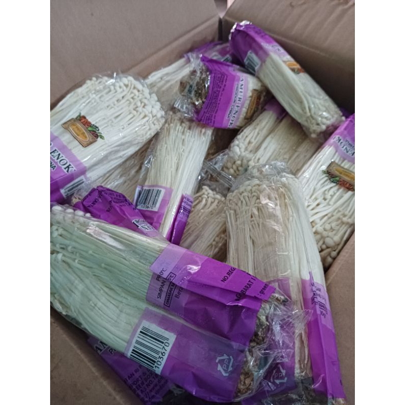 

jamur enoki