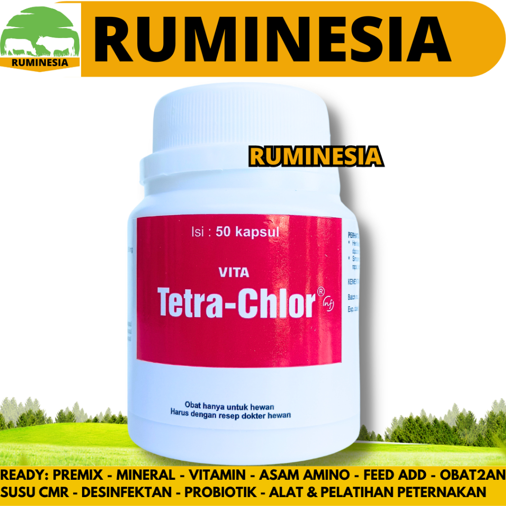PROMO VITA TETRA CHLOR 50 KAPSUL - Tetra Clor Tetra Chlor Ayam Medion Obat Pilek Batuk Snot Ngorok