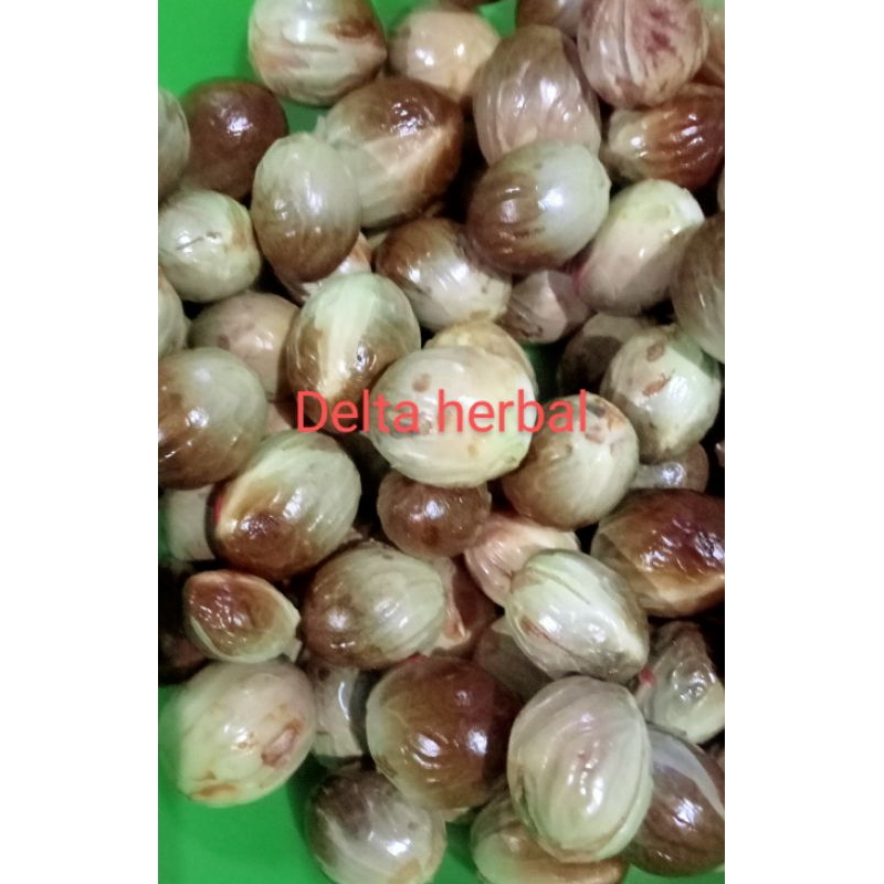 

Buah biji pala basah petik langsung