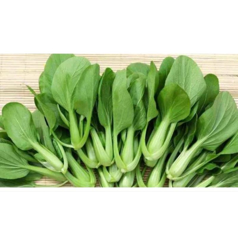 

Pakcoy/Sayur Pakcoy 500 gram