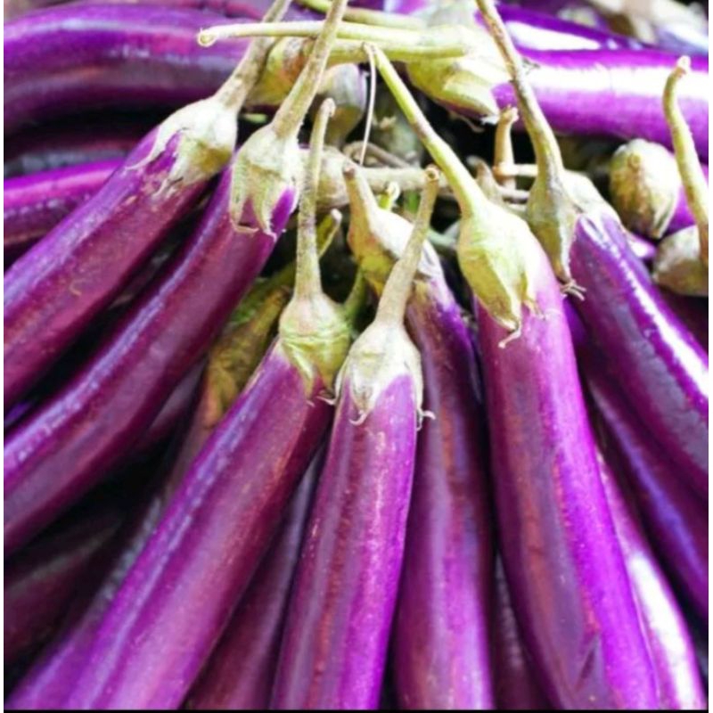 

Terong/sayur terong ungu 500 gram