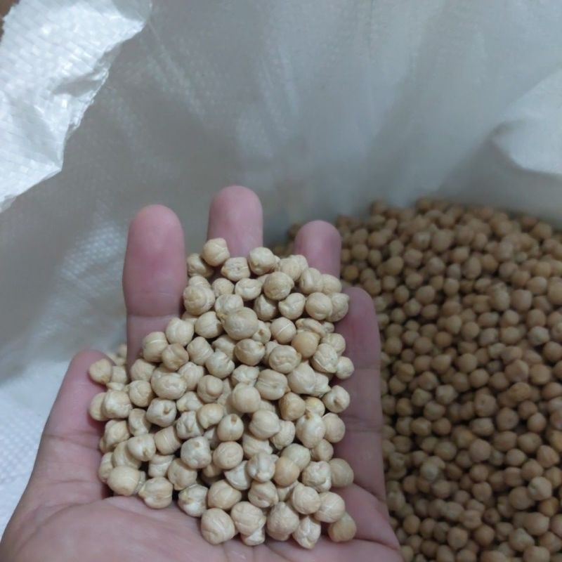 

Kacang humus mentah atau chikpea 1kg